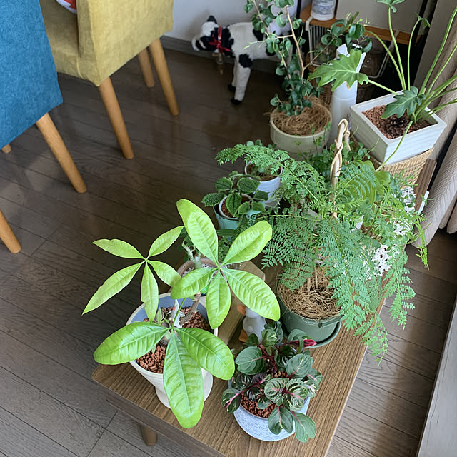 JUNさんの実例写真
