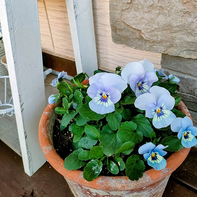 ai.happyplaceさんの部屋