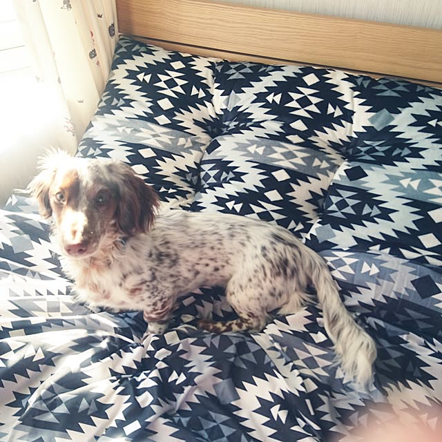 sayaさんの実例写真