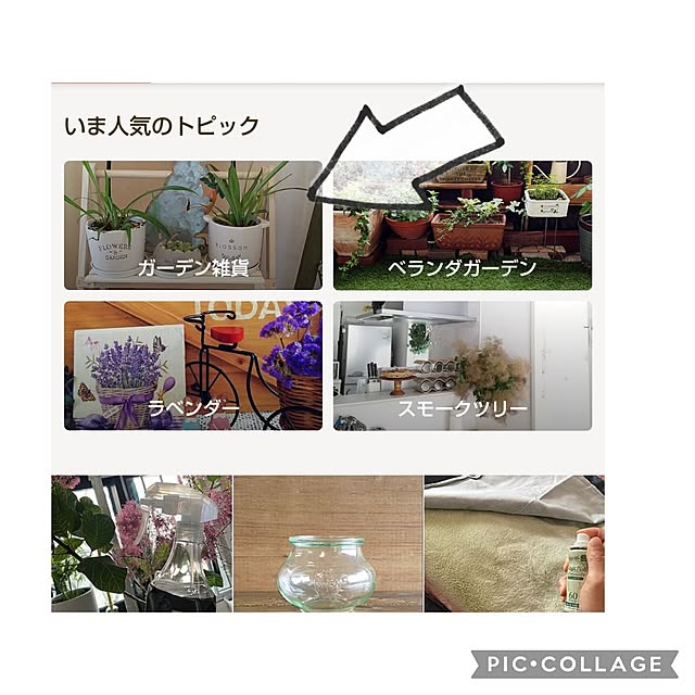 yumiyumiさんの実例写真