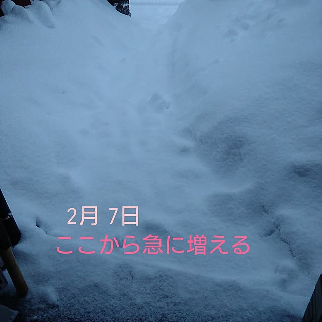 ameamekaasanさんの部屋