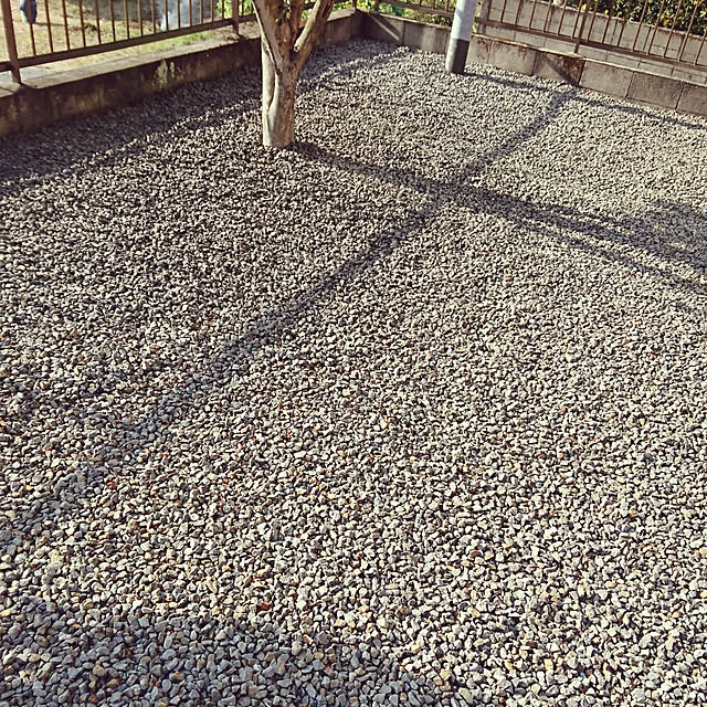 mercuryさんの実例写真