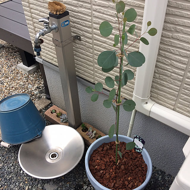 makimomongaさんの実例写真