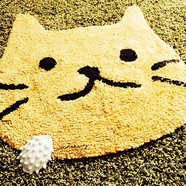 hyneさんの実例写真