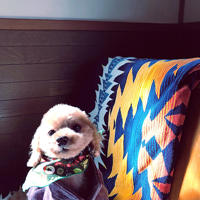 chacoさんの実例写真