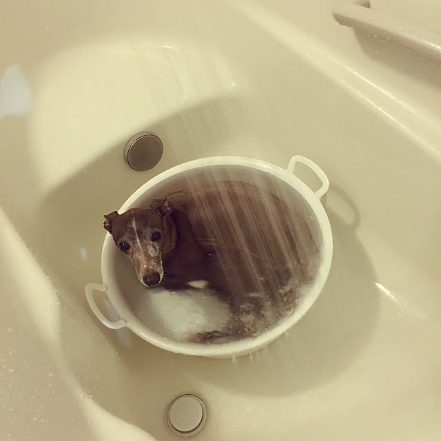 suzyさんの実例写真
