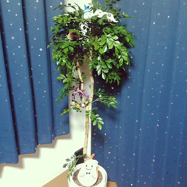 maitakeさんの実例写真