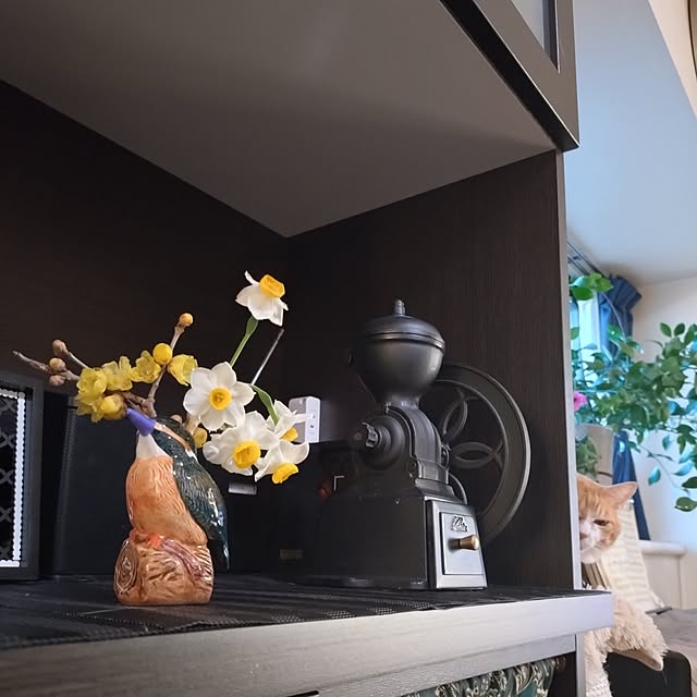 NOAHさんの実例写真