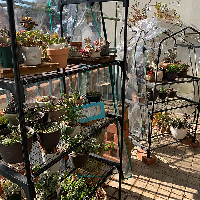 Aqettyさんの部屋