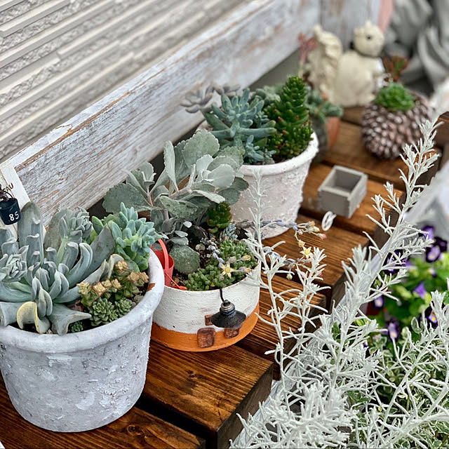 観葉植物/アンティーク/DIY/玄関/入り口のインテリア実例 - 2020-10-03 22:16:50