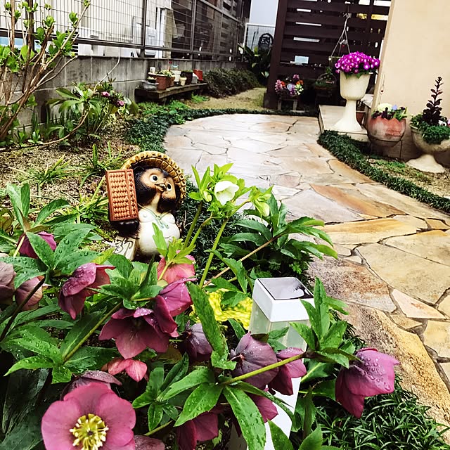 portulacaさんの実例写真