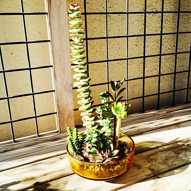 nazunaさんの実例写真
