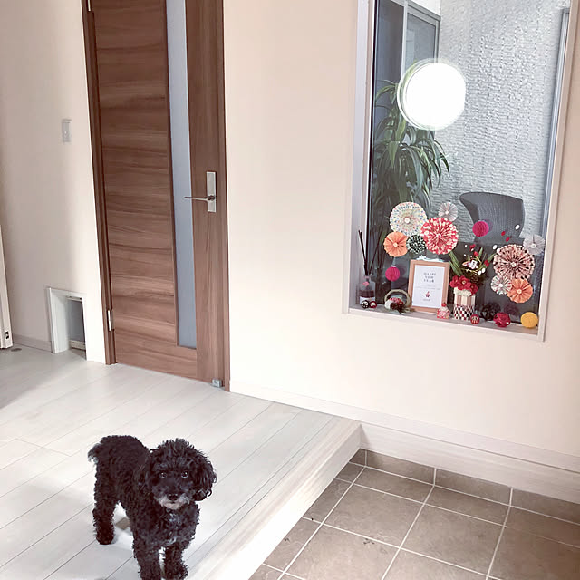 Mamiyさんの実例写真