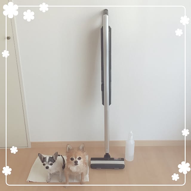 Emiさんの実例写真
