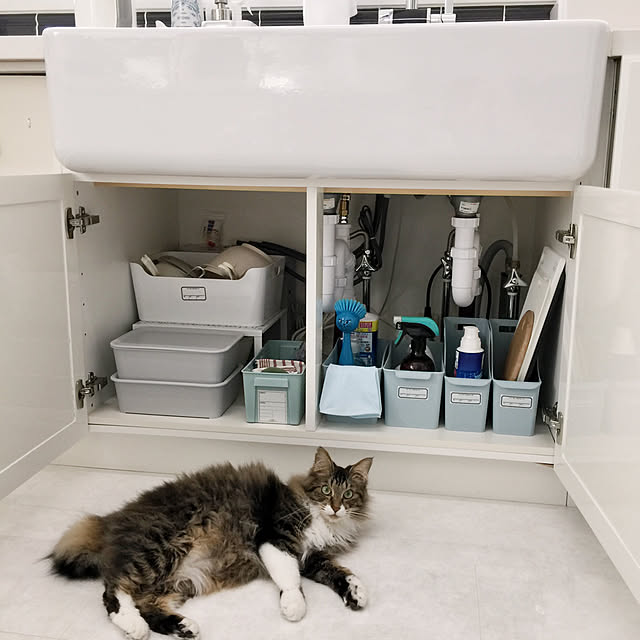 yuchiさんの実例写真