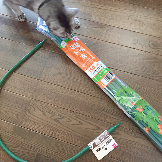 kotoriさんの実例写真