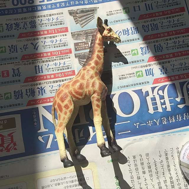 devil_880421さんの実例写真