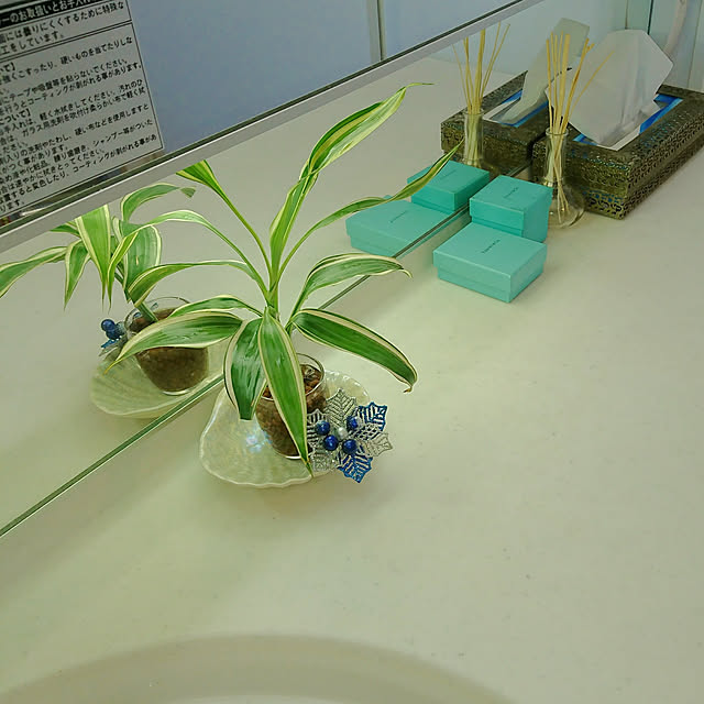 bonobono54さんの実例写真