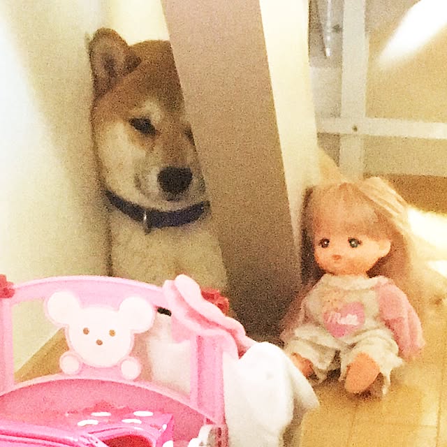 kotaさんの実例写真