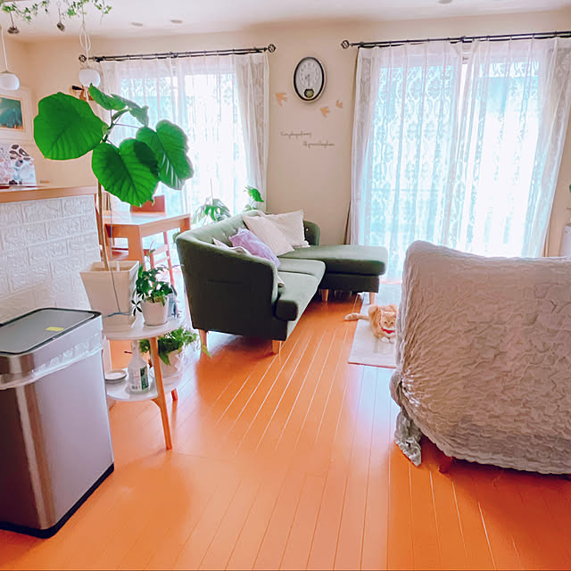 moolさんの実例写真