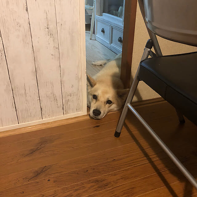 leonaさんの実例写真