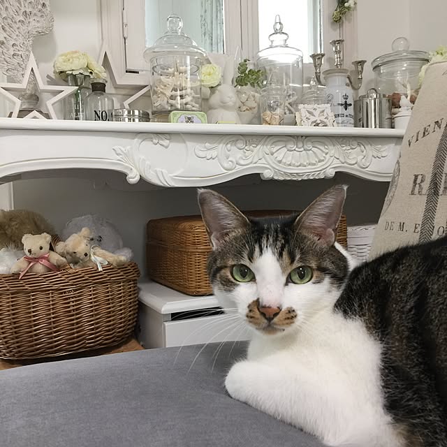 yuchiさんの実例写真