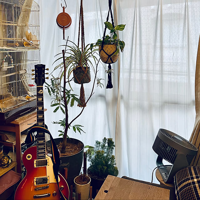 parrotさんの実例写真