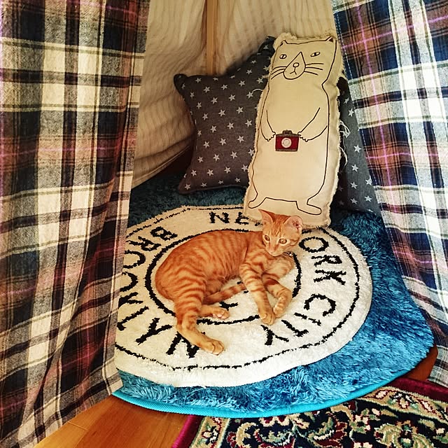 annさんの実例写真