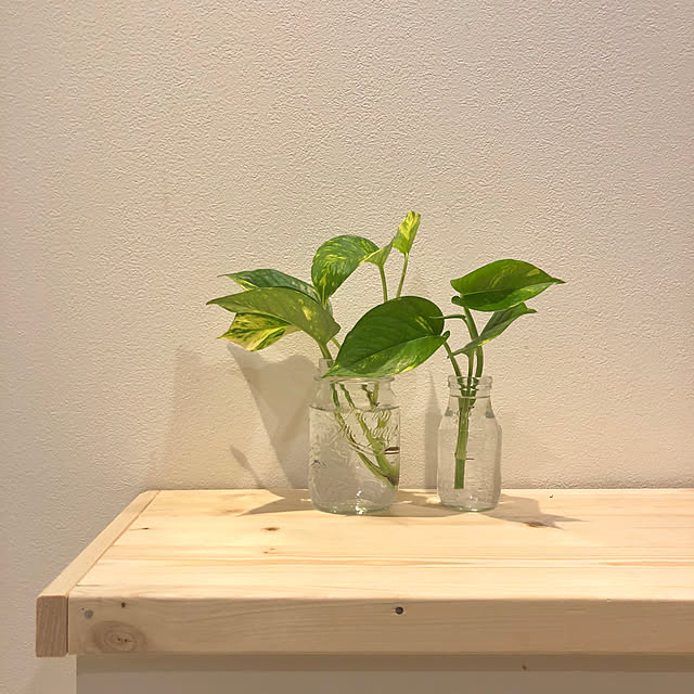 suzyさんの実例写真