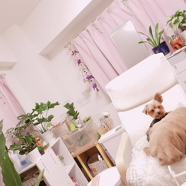 keikomokonさんの実例写真