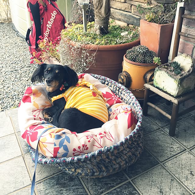 cloverさんの実例写真