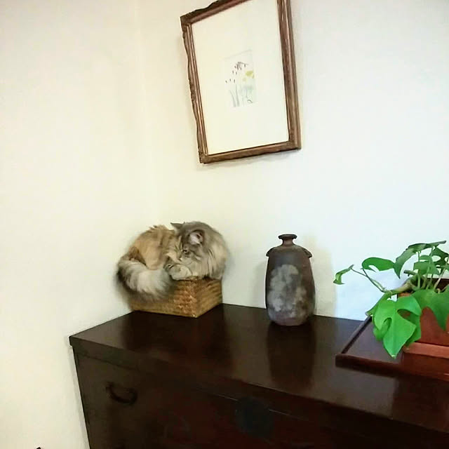 justyさんの実例写真