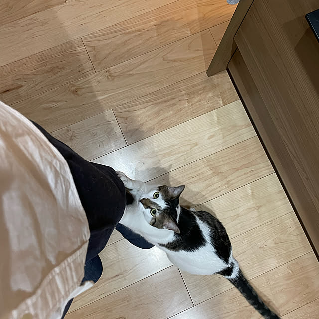 becci.comさんの実例写真