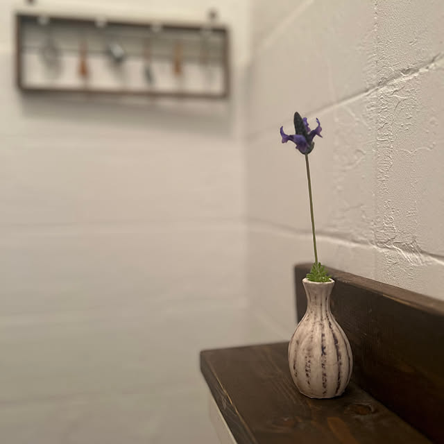 rookuさんの実例写真