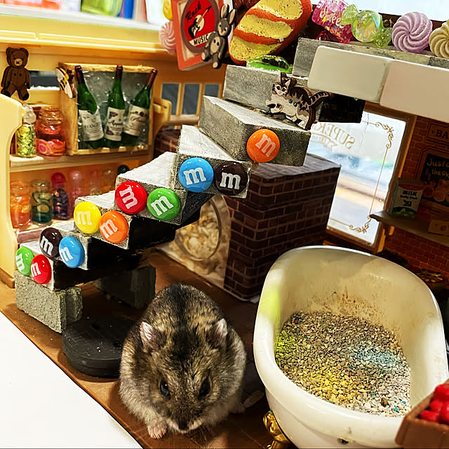s.nikoさんの実例写真