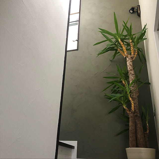 照明/雑貨/DIY/漆喰/観葉植物...などのインテリア実例 - 2020-08-15 12:54:52