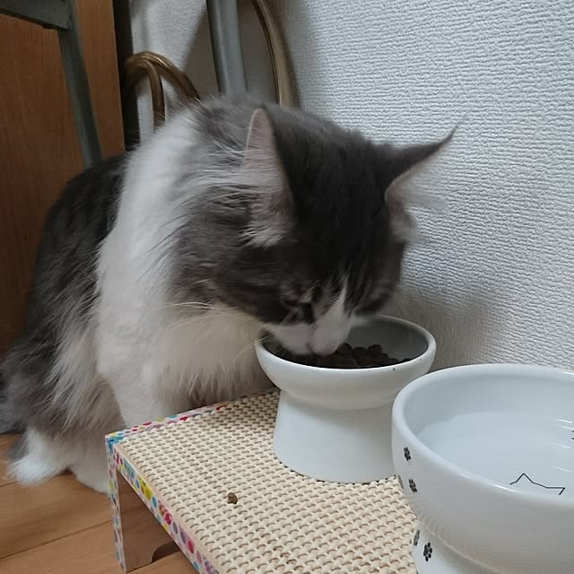 shinobuさんの実例写真