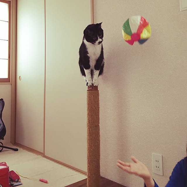 mari23さんの実例写真
