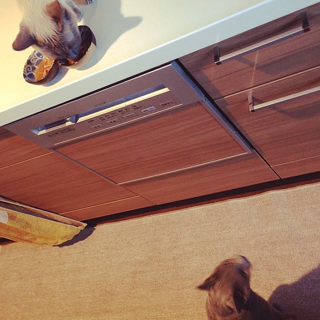 poiさんの実例写真