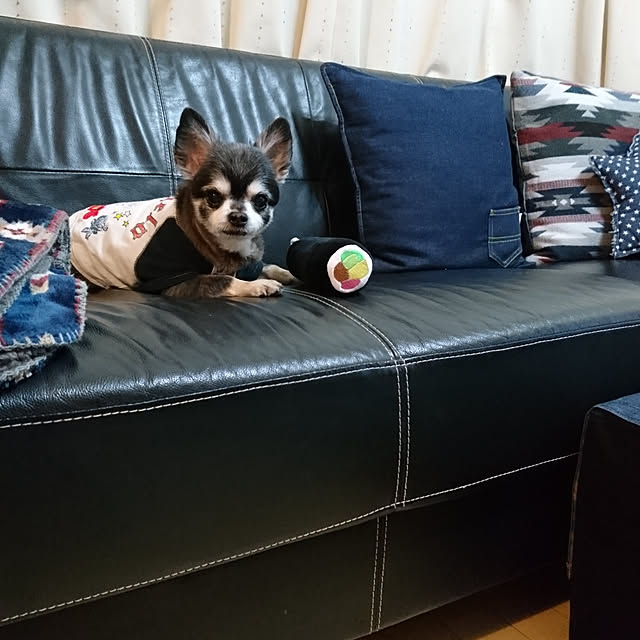 lovepeaceさんの実例写真