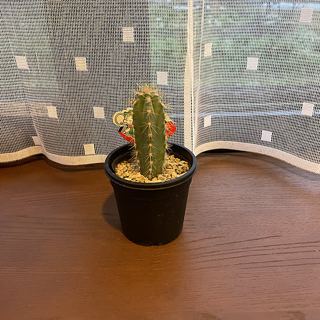 akkeyさんの実例写真