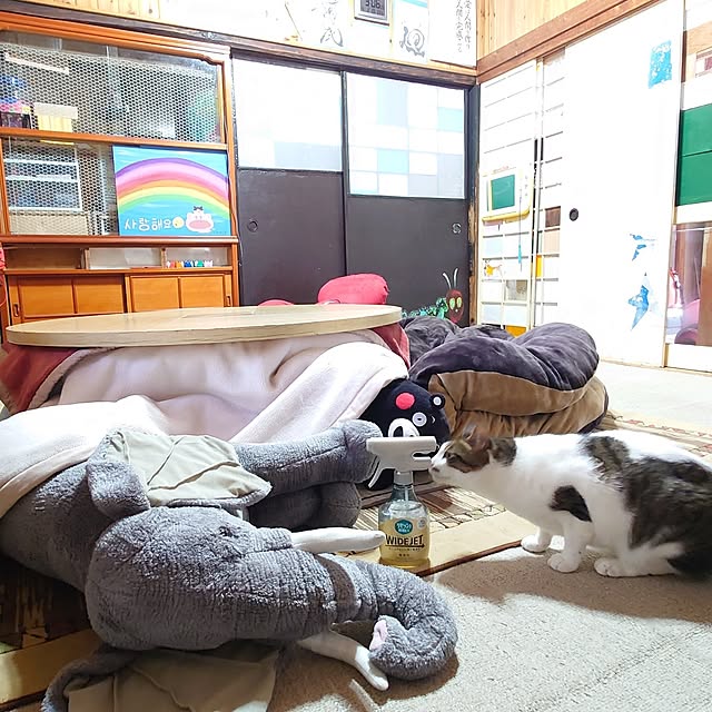 kikuさんの部屋