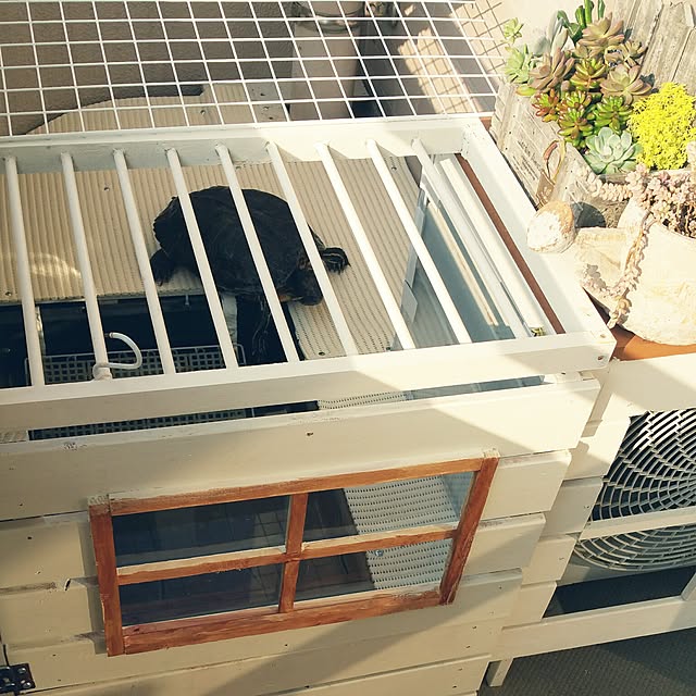 kuluchan.panda.0903さんの実例写真