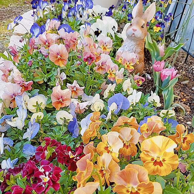 aikkoさんの実例写真