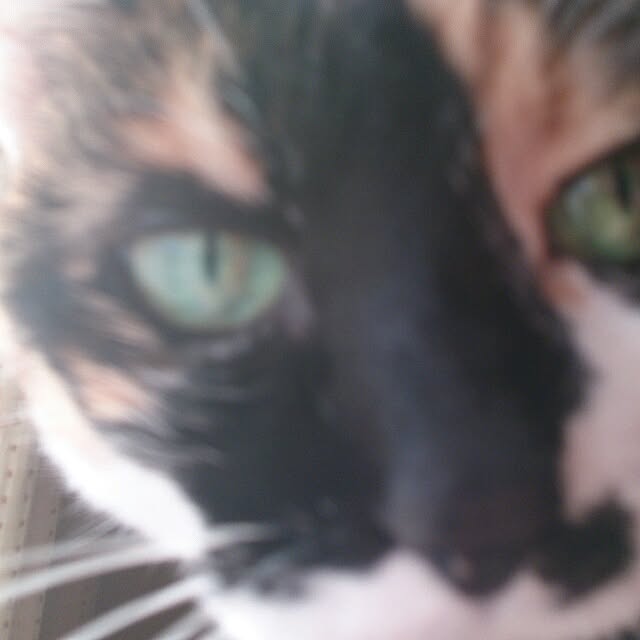 yuさんの実例写真
