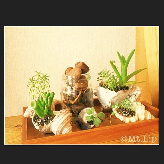 実例写真