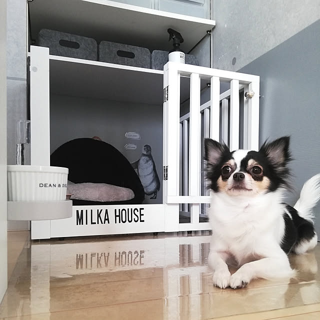 milさんの実例写真