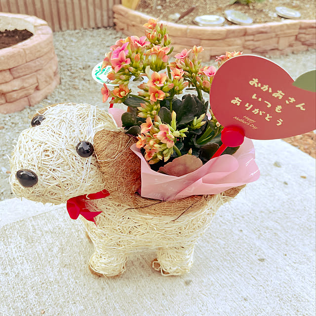 RAKI_Homeさんの実例写真