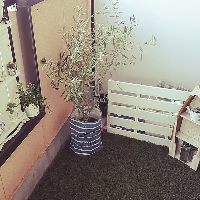 yukiさんの実例写真