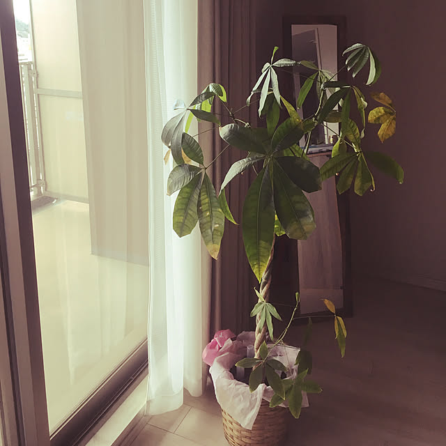 chako0917さんの実例写真